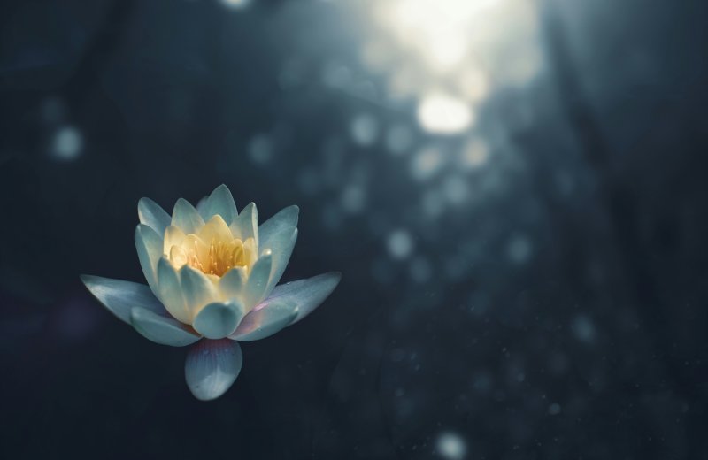 https://unsplash.com/