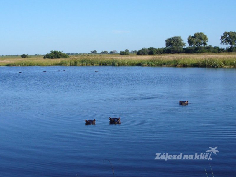botswana-novy-web-033.jpg