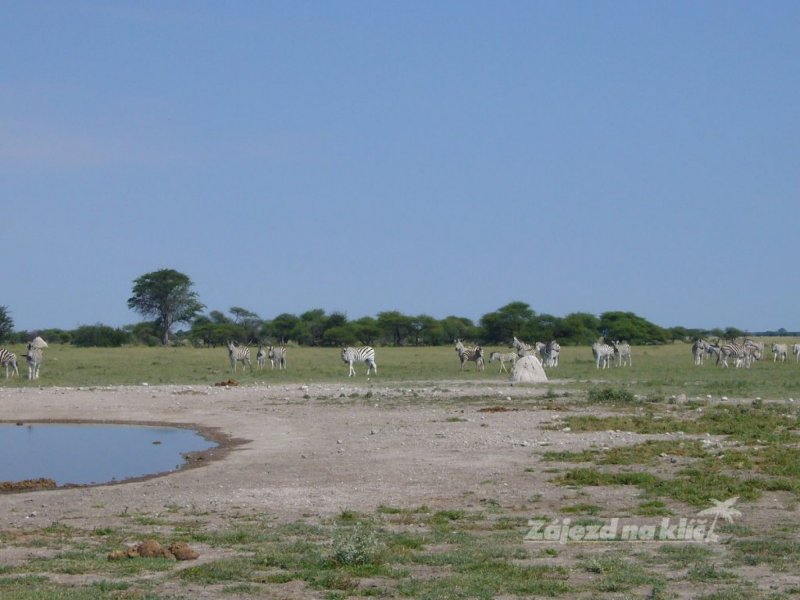 botswana-novy-web-039.jpg