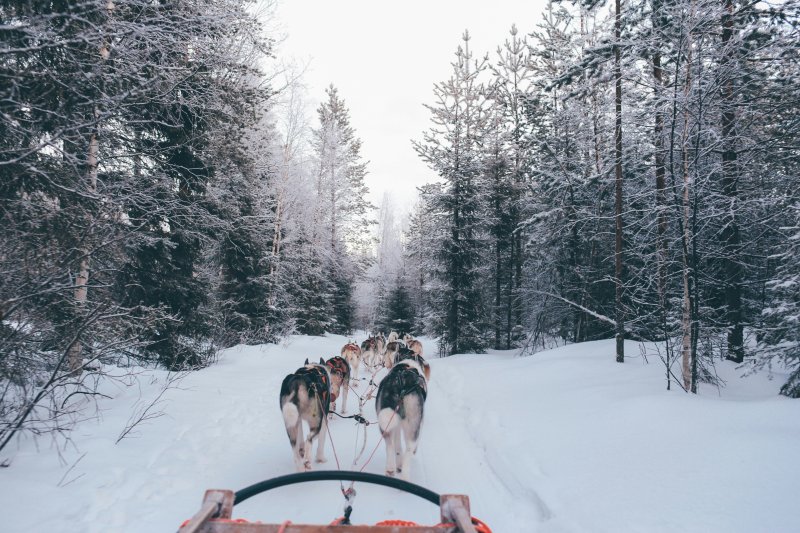 https://unsplash.com/