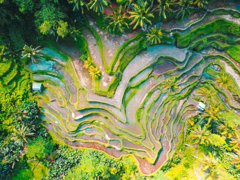 https://unsplash.com/