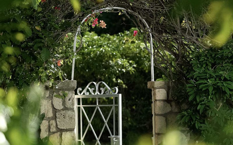 https://www.roundhill.com/