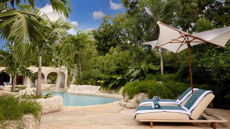 https://bluemonkeybarbados.com/