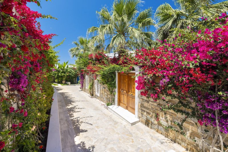 https://portozante.com/