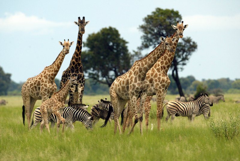 safari-a-adrenalin-002.jpg
