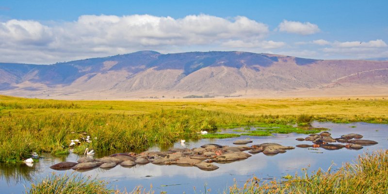 Wetu.com - Tanganyika Expeditions shutterstock_763146790