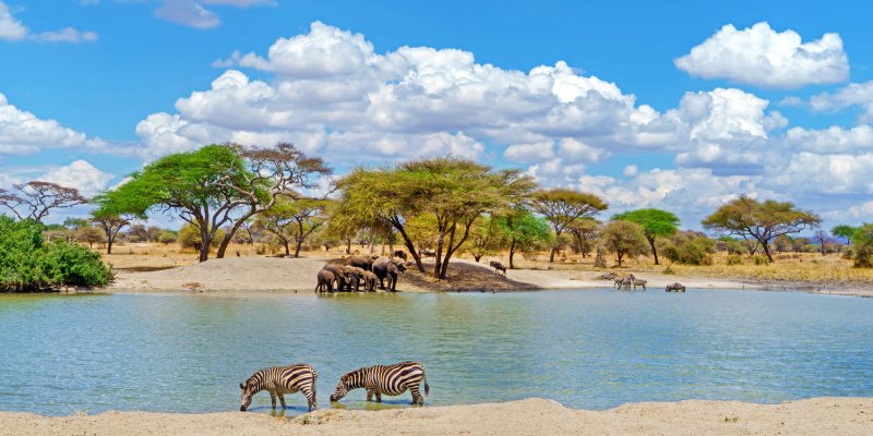 Wetu.com - Tanganyika Expeditions: shutterstock_2046199310