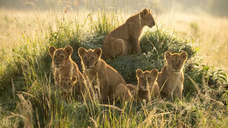 safari-v-africe-nove-003.jpg
