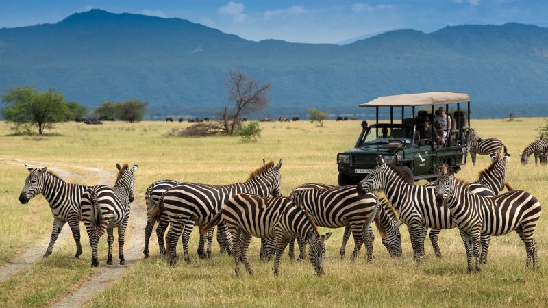 safari-v-africe-nove-029.jpg