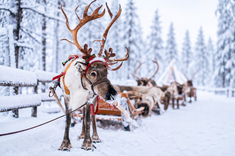santa-claus-village-021.jpg