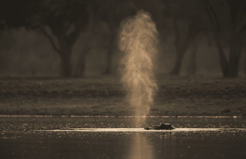 Ker & Downey® Africa