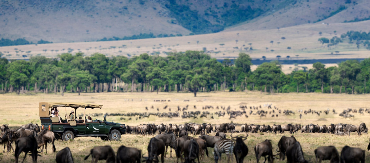 Safari v Africe